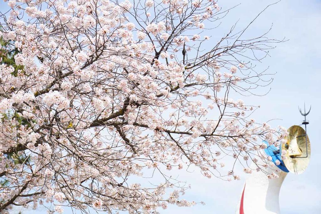 吹田市 ぼんぼり庵　天　（一軒家貸切）ヴィラ エクステリア 写真